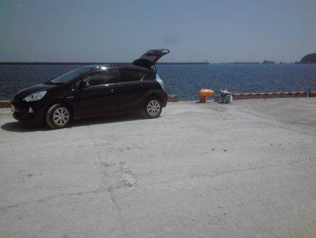 新宮港で小アジ